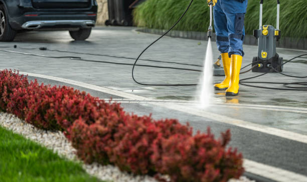 Best House Pressure Washing  in Cloverleaf, TX